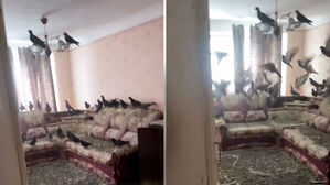 창문 열고 외출, 집 돌아와 경악&hellip;"수천만 원 예상" 