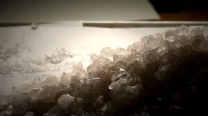 "출소한 딸이 또" 가족의 신고&hellip;화장실서 벌인 짓