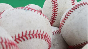 고교 야구부 코치, 선수들과 음주 의혹&hellip;광주교육청 조사 착수