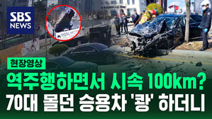 [현장영상] "다 찌그러져" 갑자기 나타난 승용차 한 대, 빠른 속도로 역주행하더니