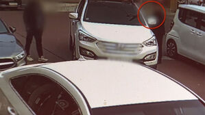 말려도 뿌리친 경찰 간부&hellip;'요란한 출근' 당시 영상