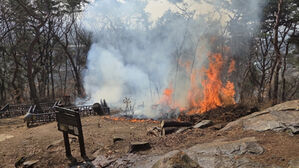 수원 팔달산 방화 피의자 "산책만 했다"&hellip;혐의 부인