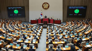 '대미투자특별법' 여야 합의로 국회 통과&hellip;발의 106일 만에 입법