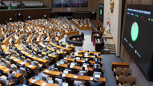'대미투자특별법' 여야 합의로 국회 통과&hellip;발의 106일 만