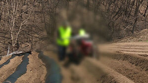 "봄철에 특히 조심"&hellip;3&sim;5월 사고 집중, 61%가 '이것'