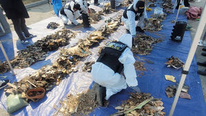 '제주항공 참사' 잔해 섞여 방치되던 유해&hellip;책임 추궁 불가피