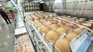 계란 한 판 다시 7천 원대&hellip;산란계 1천 마리 살처분에 물가 비상