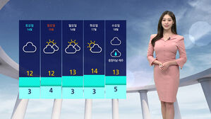 [날씨] 동쪽 산지 중심 '폭설'&hellip;서울 낮 최고 12도