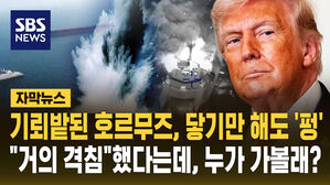 [자막뉴스] 기뢰밭된 호르무즈, 닿기만 해도 '펑'&hellip;"거의 격침"했다는데, 누가 가볼래?