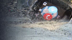 창문까지 깨고 차량 여성 살해&hellip;붙잡히더니 "호흡곤란"