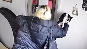 고양이 안더니 몰래 '슥'&hellip;보호소 황당 사건