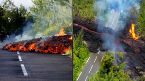 "20년 만에 처음"&hellip;흘러내려 도로 위 '꿈틀'