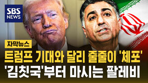 [자막뉴스] 트럼프 기대와 달리 저항세력 잇단 체포&hellip;김칫국부터 마시는 팔레비