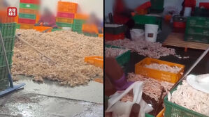 '과산화수소로 닭발 표백'&hellip;중 유명 식품 가공 공장 적발