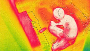 6월부터 '체감 38도&middot;기온 39도 이상' 예상 시 '폭염중대경보'