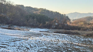 [사건X파일] "등기소 직원 실수 때문에&hellip;" 수십억 '내 땅' 잃었다?