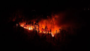 산불 지키던 손으로 불 질러&hellip;논밭 연쇄 방화범은 '전직 감시원'