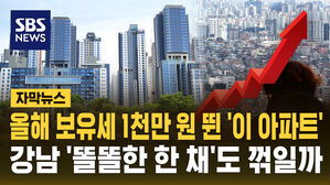[자막뉴스] 원베일리, 올해 보유세 1천만 원 더 낸다&hellip;강남 '똘똘한 한 채'도 꺾이나?