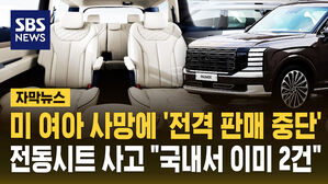 [자막뉴스] '전동시트 끼임 사고' 현대차 팰리세이드, 국내서도 유사 사례 2건 있었다