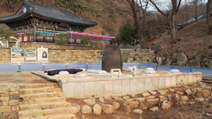 순식간에 무너진 삶&hellip;"집 돌아가고파" 수천 명의 눈물