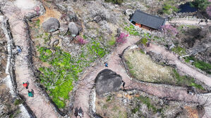 "광양매화축제장서 '돌멩이 군밤' 판매"&hellip;SNS 와글와글