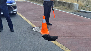 익산 한 아파트 단지 앞 도로에 지반 침하&hellip;인명 피해 없어