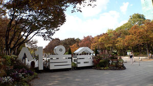 "따릉이도 많이 타는 곳인데"&hellip;보행자 전용 지정 나서자