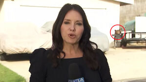 "습격당한 곳" 생방송 중 포착&hellip;가슴 쓸어내린 기자