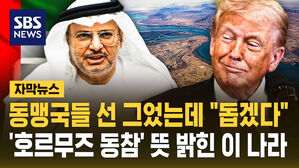 [자막뉴스] 동맹국들 선 그었는데 "돕겠다"&hellip;'호르무즈 동참' 뜻 밝힌 이 나라