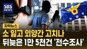 [자막뉴스] 스토킹 살인 후 이제야&hellip;경찰, 관계성 범죄 1만 5천 건 전수조사