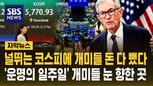 [자막뉴스] 개미들 코스피에서 돈 다 뺀 이유?&hellip;'운명의 일주일' 개미들 눈 '여기'로 쏠렸다