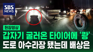 [현장영상] "으악! 뭐야!" 고속도로 달리다가 '쾅' 화물차 타이어가 왜?
