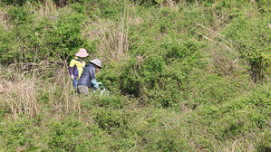 제주 길 잃음 사고 10명 중 4명 "고사리 꺾다가"&hellip;봄철 주의보