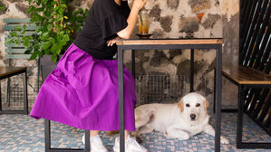 반려동물 식당 이용 쉬워진다&hellip;QR 접종 확인 도입