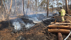 수원 팔달산 방화범 구속 송치&hellip;"산책 나왔다" 혐의 끝내 부인