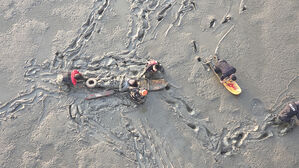 충남소방본부, 갯벌 구조 장비 '갯보드'로 투신자 구조