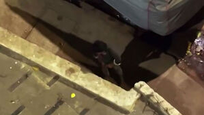 노상방뇨 후 맨손 '뒤적'&hellip;발코니서 찍은 영상 충격