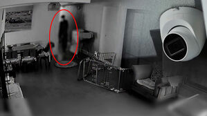 "낯선 남자가" 홈캠 보고 화들짝&hellip;반려견 달래더니