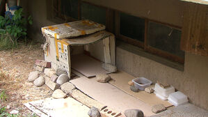 "길고양이, 남의 땅에서 밥 줄 때 동의 받아야"