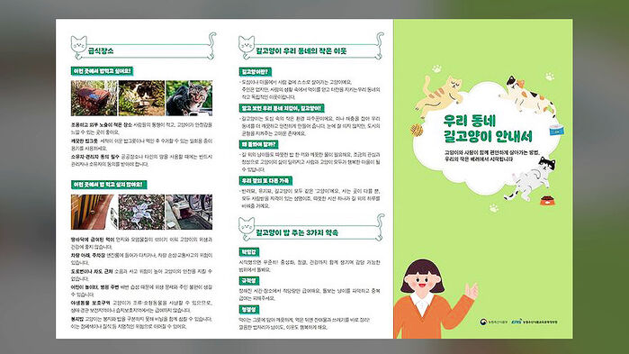 길고양이 급식소