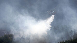 "산불 뉴스 보고 희열"&hellip;'울산 봉대산 불다람쥐' 송치