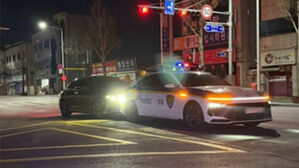 새벽 사거리에 멈춰 선 차량서 음주운전자 '쿨쿨'