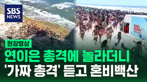 [현장영상] "으악" 가짜 총성에 해변에서 놀던 학생들 비명 지르며 혼비백산