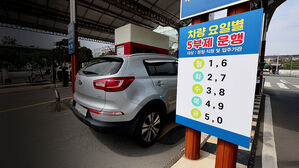 '민간 5부제' 단계적으로&hellip;경차&middot;복합형도 포함