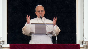 교황청 "가톨릭 신자도 치료 위해 동물장기 이식 가능"