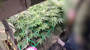 매달 100만 원 지원금 줬는데&hellip;청년 농업인 실체 