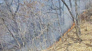 경기 시흥 야산서 불&hellip;40여 분 만에 완진