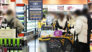 비상계엄 이후 가장 크게 '뚝'&hellip;얼어붙은 소비 심리