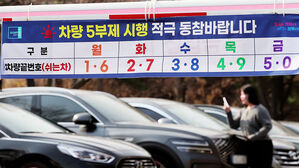 끝자리 3번인데 "깜빡"&hellip;입구컷에도 한강에 '허점'