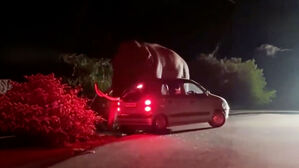 꼼짝없이 갇혀 '덜덜'&hellip;차 덮친 '공포의 코끼리'